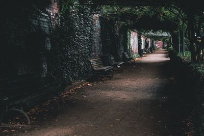 Empty footpath amidst buildings