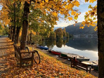 Bench by trees in park during autumn