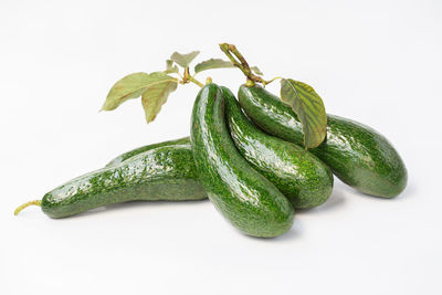 Close-up of green chili pepper against white background