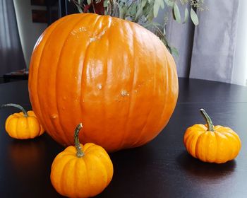 Close-up of pumpkin and orange pumpkins in kitchen