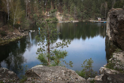 Scenic view of lake in forest