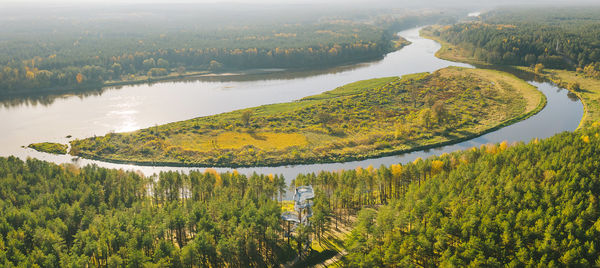 High angle view of plants and landscape