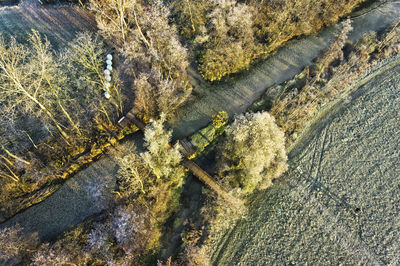 Full frame shot of frozen tree