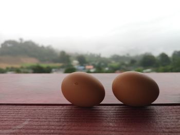 Close-up of eggs on table against sky