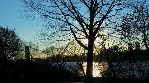 Silhouette bare trees in forest against sky at sunset