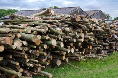 Stack of logs on field against sky