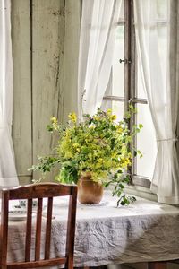 Potted plants on table against window