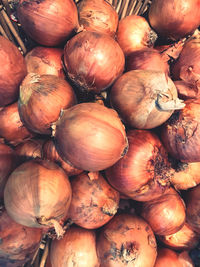 Full frame shot of pumpkins for sale at market