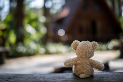 Close-up of stuffed toy on wood in park