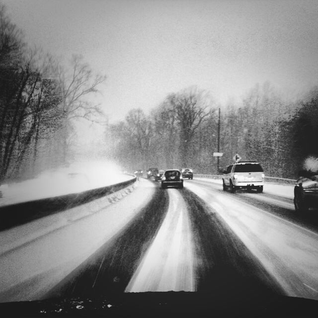 transportation, car, mode of transport, land vehicle, road, tree, the way forward, windshield, on the move, street, diminishing perspective, travel, car interior, weather, road marking, sky, bare tree, vehicle interior, vanishing point, winter