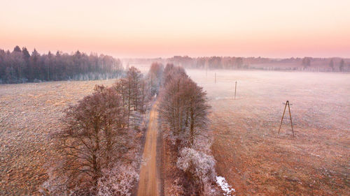 Trees on snow covered land against sky during sunset