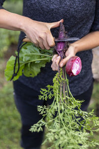 Womans hands cleaning purple carrot with knife