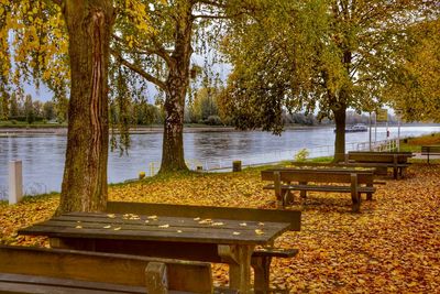 Empty bench in park