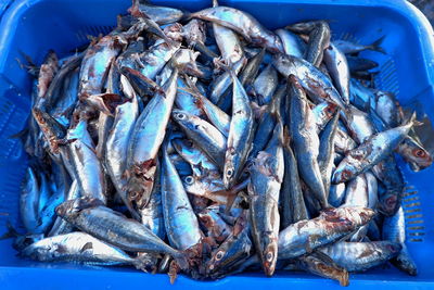 Fish for sale