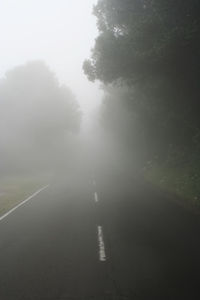 Road amidst trees against sky