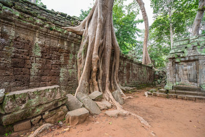 Old ruins of temple