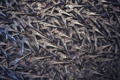 Full frame shot of dry leaves on field