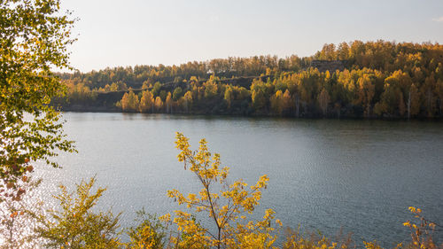 Plants by lake against sky during autumn