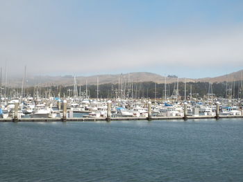 Sailboats moored in harbor against clear sky