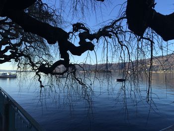 Silhouette bare tree by lake against sky