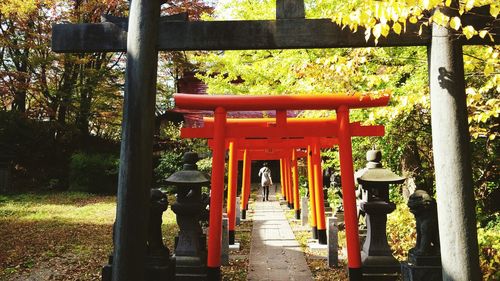 Rear view of woman walking through torri gates