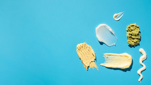 Directly above shot of jellyfish on blue background