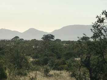 Scenic view of mountains against clear sky