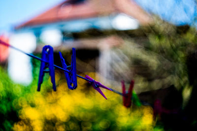Close-up of clothespins hanging on clothesline