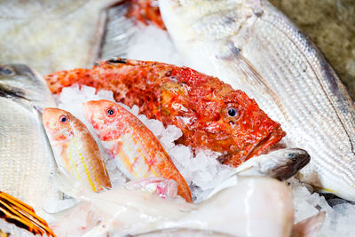 Close-up of fish for sale in market