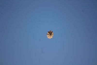 Low angle view of a bird flying in the sky