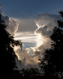 Low angle view of silhouette trees against sky