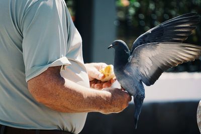 Close-up of hand holding bird