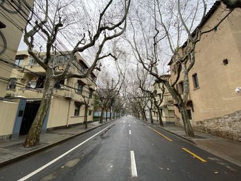 Empty road along bare trees and buildings