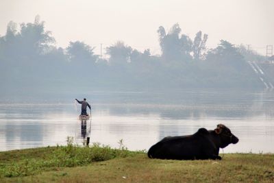 Man with dog standing by lake against sky