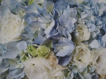 Full frame shot of white flowers