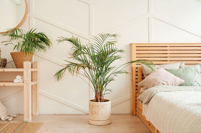 Potted plant on bed at home
