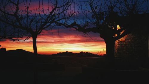 Silhouette tree against sky during sunset