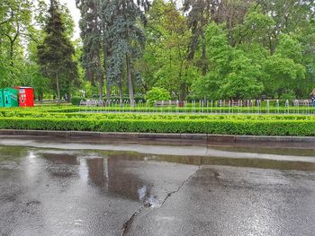 Wet road by trees against sky