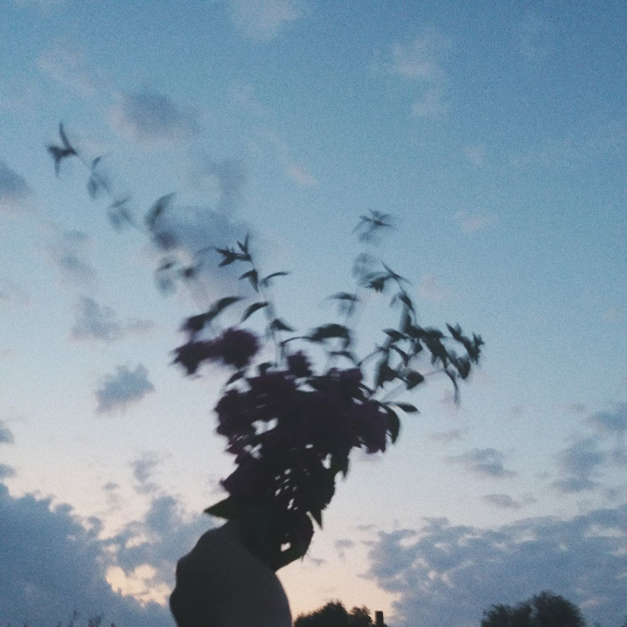 flying, silhouette, sky, low angle view, cloud - sky, large group of animals, mid-air, flock of birds, bird, animal themes, one person, motion, real people, outdoors, nature, leisure activity, day, animals in the wild, childhood, beauty in nature, spread wings, tree, people