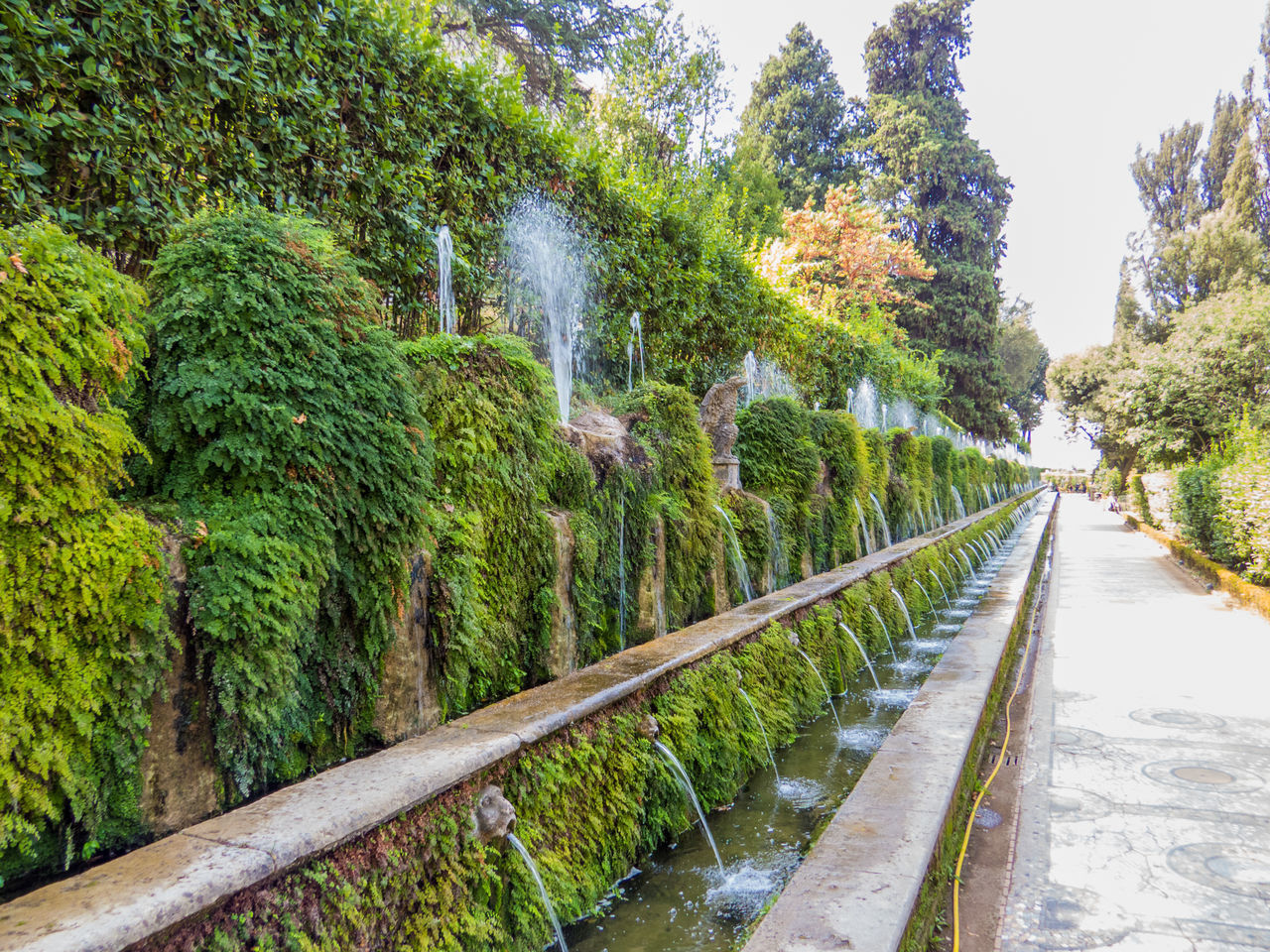 PANORAMIC VIEW OF WATERFALL AMIDST TREES