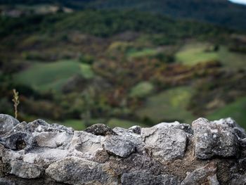 Close-up of stone wall with blurred background