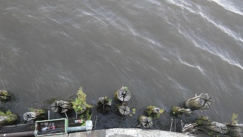 High angle view of water