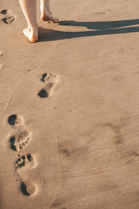 Low section of person standing on beach