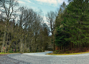 Road amidst trees