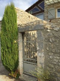 Ivy growing on wall of building