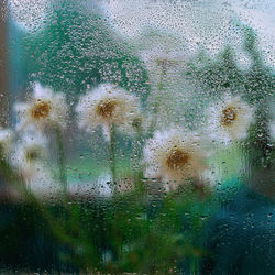 Full frame shot of wet glass window during rainy season