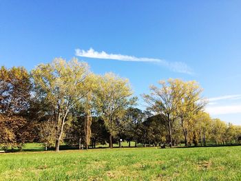 Scenic view of grassy field against cloudy sky