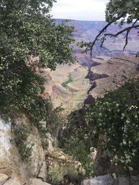 High angle view of plants and trees against sky