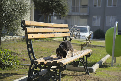 seat