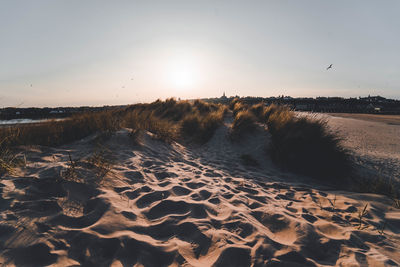 Scenic view of beach against sky during sunset